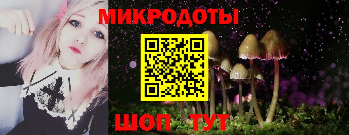 Ишим  Псилоцибиновые грибы Psilocybe  Вход с VPN  Псилоцибиновые грибы Cubensis 
